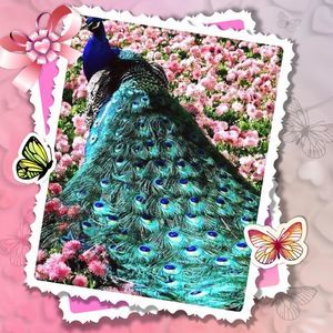 Meet your Posher, Vicki